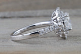 Double Halo Oval Moissanite