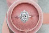 Lab Grown Diamond Oval Cut Halo Diamond Ring